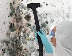 Environmental Consulting for Mold Prevention in Port Oconnor, TX